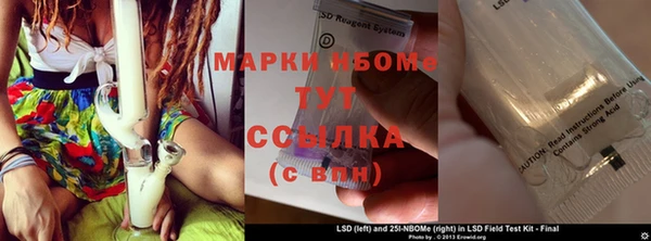 стаф Новокубанск