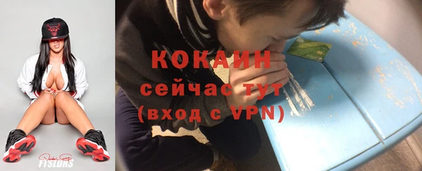 PSILOCYBIN Александровское