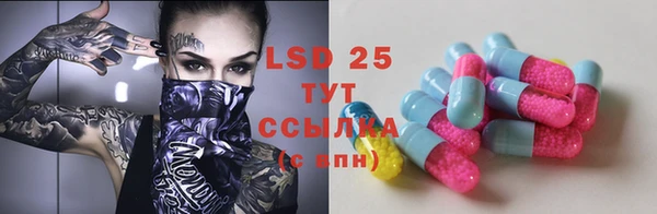 стаф Новокубанск