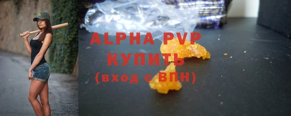 стаф Новокубанск