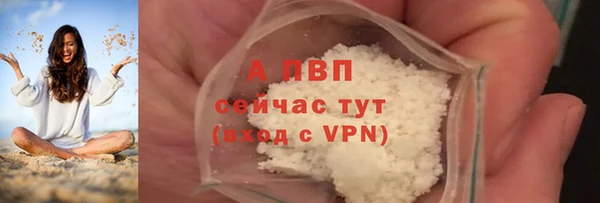 apvp Ельня