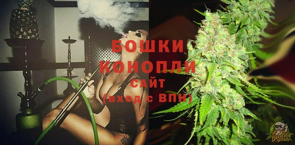 дурь Новодвинск