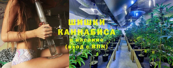 дурь Новодвинск