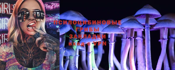 дурь Новодвинск