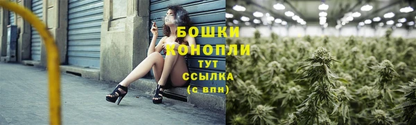 стаф Новокубанск