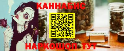 трава Гатчина