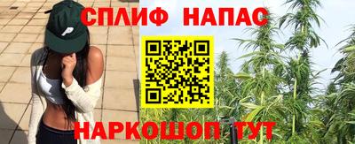 ПСИЛОЦИБИНОВЫЕ ГРИБЫ Абакан