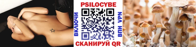 Псилоцибиновые грибы мухоморы  где купить наркоту  Апатиты 