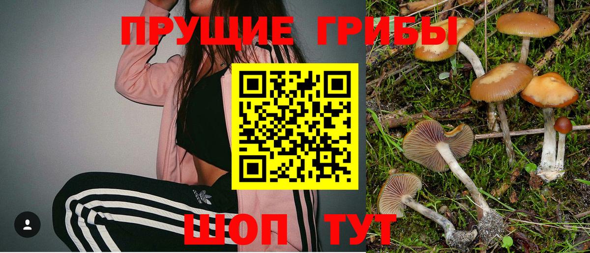 Псилоцибиновые грибы ЛСД  Апатиты 