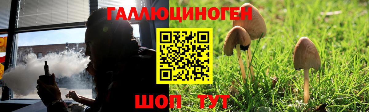 Галлюциногенные грибы прущие грибы Апатиты