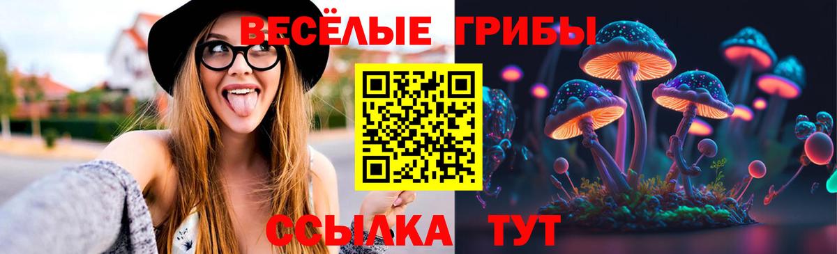 Галлюциногенные грибы прущие грибы Апатиты