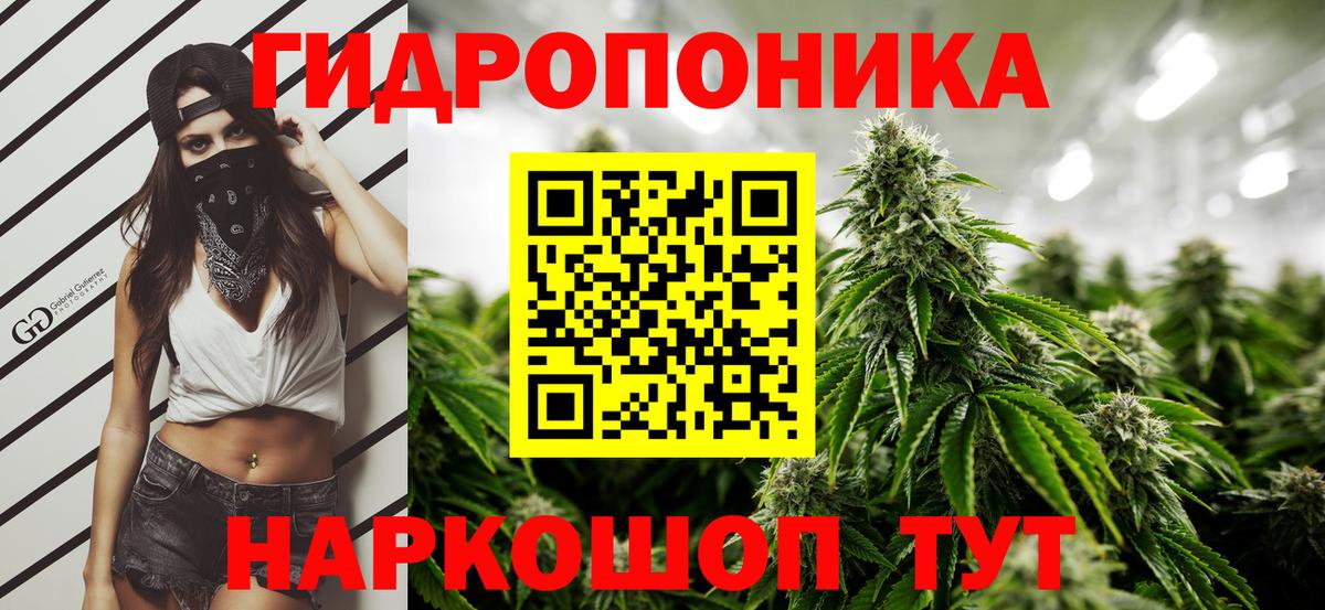 Шишки марихуана Bruce Banner Апатиты